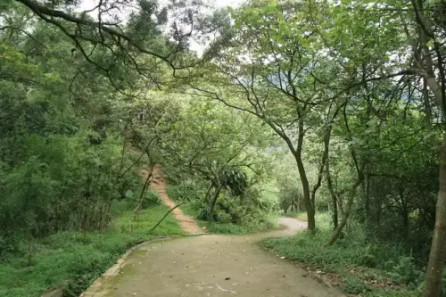 20080621 200 調整大小.webp