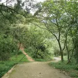 20080621 200 調整大小