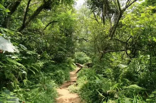 20080621 111 調整大小.webp