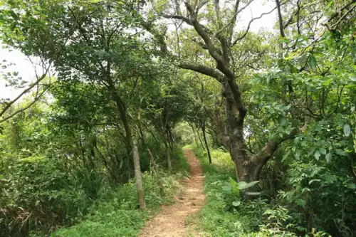 20080621 196 調整大小.webp