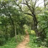 20080621 196 調整大小