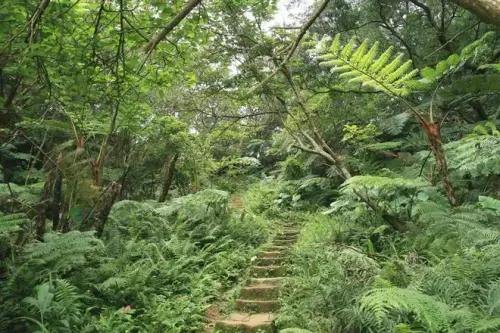 20080621 214 調整大小.webp