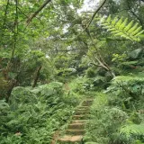 20080621 214 調整大小