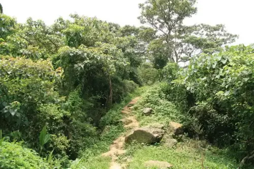 20080621 197 調整大小.webp