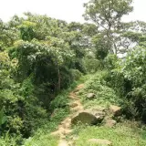 20080621 197 調整大小