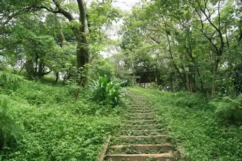 20080621 119 調整大小.webp