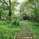 20080621 119 調整大小