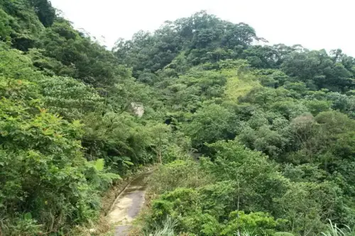 20080621 208 調整大小.webp