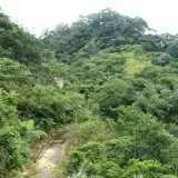 20080621 208 調整大小