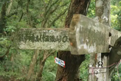 20080621 217 3 調整大小.webp