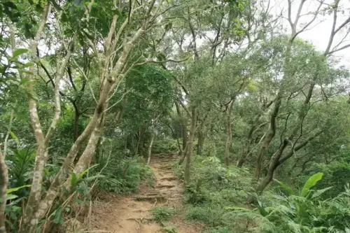 20080621 236 調整大小.webp