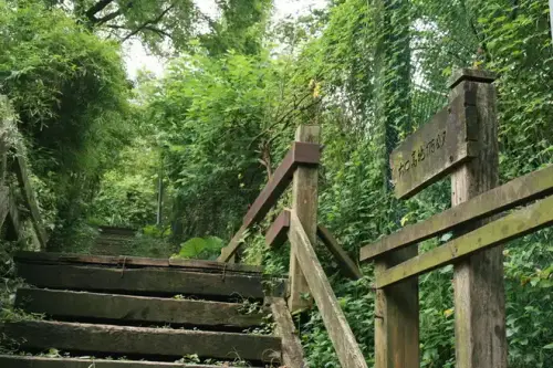 20080621 264 調整大小.webp