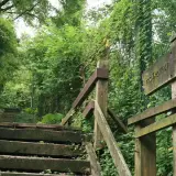 20080621 264 調整大小