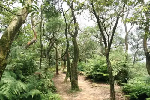 20080621 229 調整大小.webp