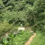 20080621 248 調整大小