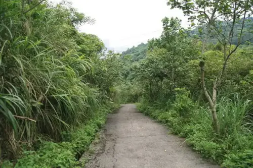 20080621 250 調整大小.webp