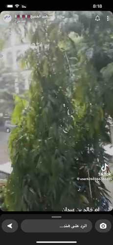 84352BD3 9F25 4128 9CB7 1640C9165617.jpg