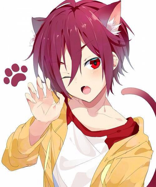 cat boy anime 8b98037f78985b76.jpg