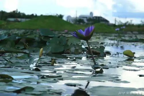 20100912 011 大小.webp