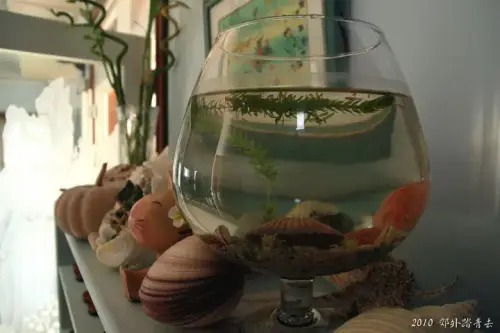 20100912 020 大小.webp