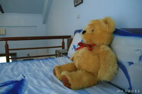 20100912 062 大小.webp