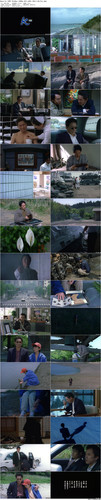 Hana bi.1997.BluRay.1080p.AC3.x265.10bit BeiTai preview.jpg