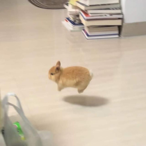 image.jpg