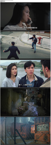 [洗黑钱]Tiger Cage 2 1990 GBR BluRay 1080P X264 AC3 5.1 2Audios FFans@荖顽僮.jpg