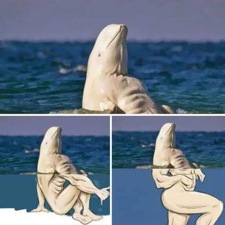 FuvqQ5qWcAIMOqO.jpg