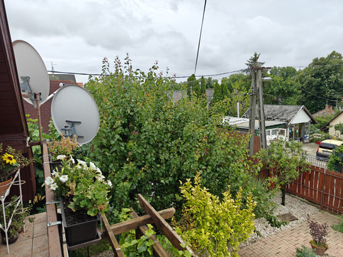 IMG20230704120652.jpg
