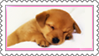 d4rri7h 22148a30 de53 480c 9b56 b71a12ef7adb.png