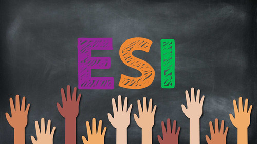 esi para docentes.jpg