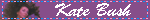 77.webp