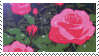 dc5vrnn 05b05d3c f461 49c9 9c78 e9ec8a350d05.gif
