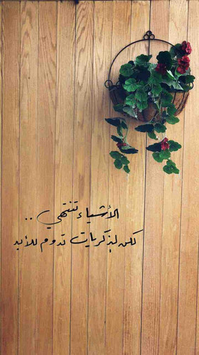 54BD457B BD94 44F9 A79B 36E25537B73B.jpg