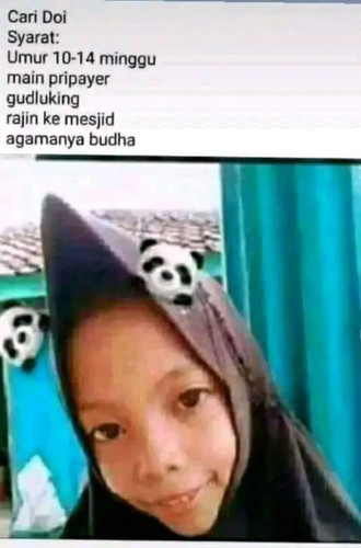 image.jpg