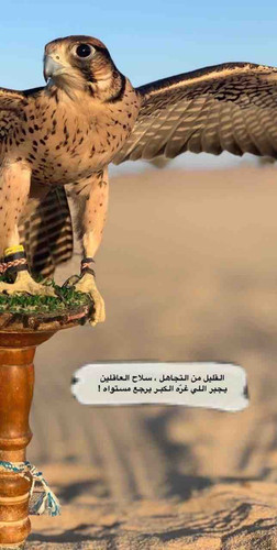 19F4ED03 19CE 4544 A603 CBE658BCC8A1.jpg