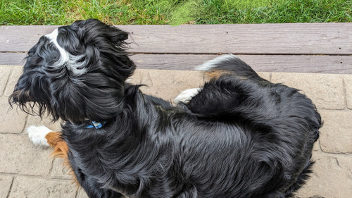 PXL 20230701 110925830~2