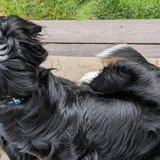 PXL 20230701 110925830~2