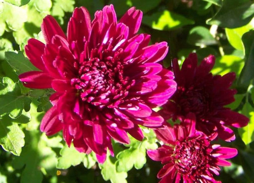 h3 768x553.jpg