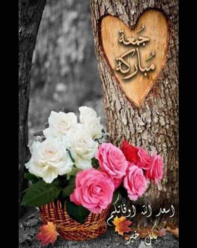 390DAEDD 3E4D 4140 AFB6 5207517F7D30.jpg