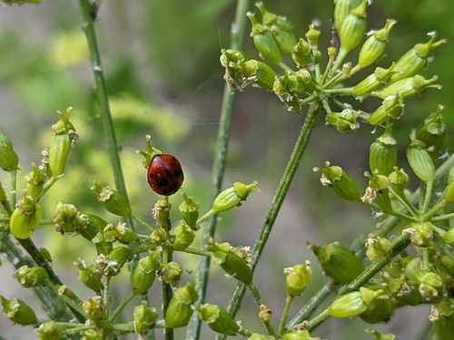 PXL 20230703 3.PORTRAIT