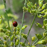 PXL 20230703 3.PORTRAIT