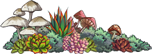 IMG 0274.png