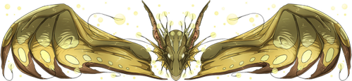 IMG 0272.png
