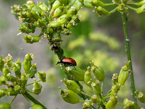 PXL 20230703 1 1.PORTRAIT