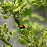 PXL 20230703 1 1.PORTRAIT