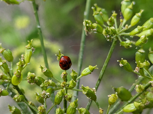 PXL 20230703 2.PORTRAIT