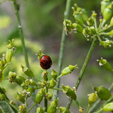 PXL 20230703 2.PORTRAIT