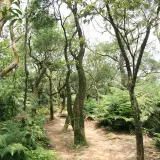 20080621 229 調整大小